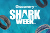 Limited edition rings inspired by the ocean’s fiercest predators. Shop Shark Week today!