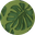 Monstera Leaf