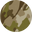 Desert Camo
